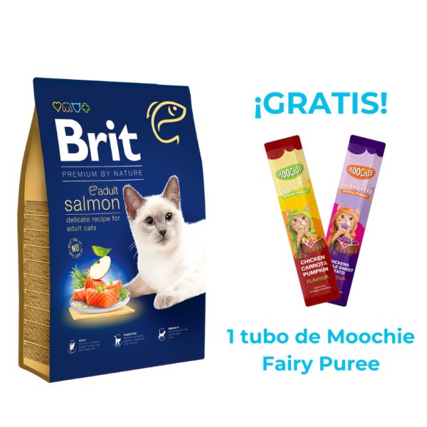 Brit Premium Gato Adulto Salmón