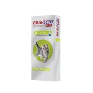 Antipulgas Bravecto Plus 112.5 mg ( 1.2kg - 2.8kg) para gato en lima peru